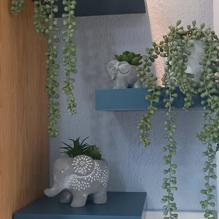 The Blue House Apartament *